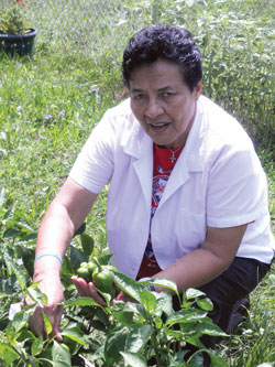 Vision 2016 Oatis 6 Feeding the poor enriches the lives of sisters Muus picks fresh produce