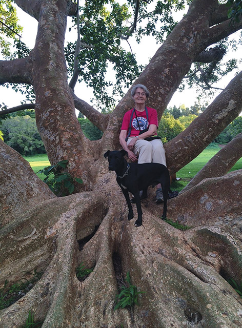 Vision 2019 Vision editors Maryknoll Sisters 1 Divine design: The holiness of place Maryknoll Sister Janice McLaughlin, M.M., in Zimbabwe