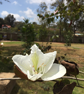 Vision 2019 Spotlight More prayer spaces of religious communities Sisters of Charity of the Incarnate Word