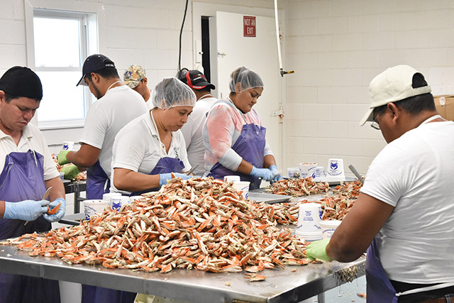 Vision 2023 Feister 3 Ministering to migrants in a carport cathedral Workers in a crab processing plant