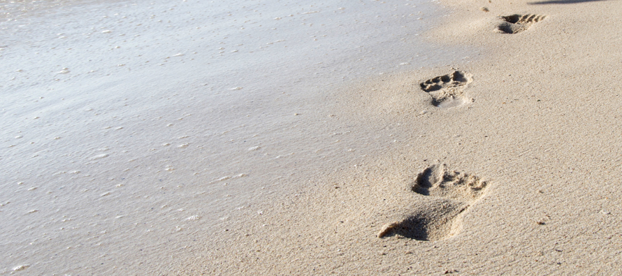 Steps to discern your vocation